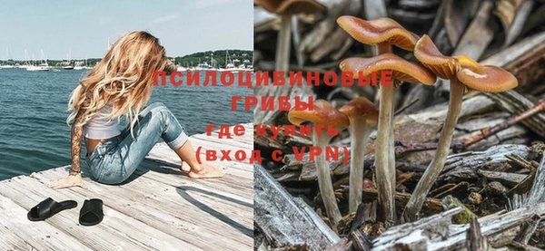 молекула духа Пролетарск