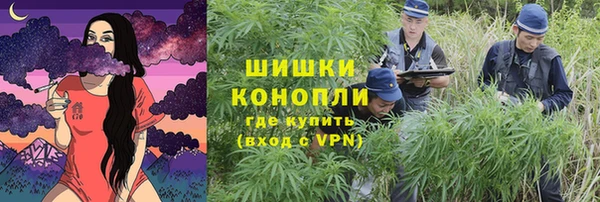 молекула духа Пролетарск
